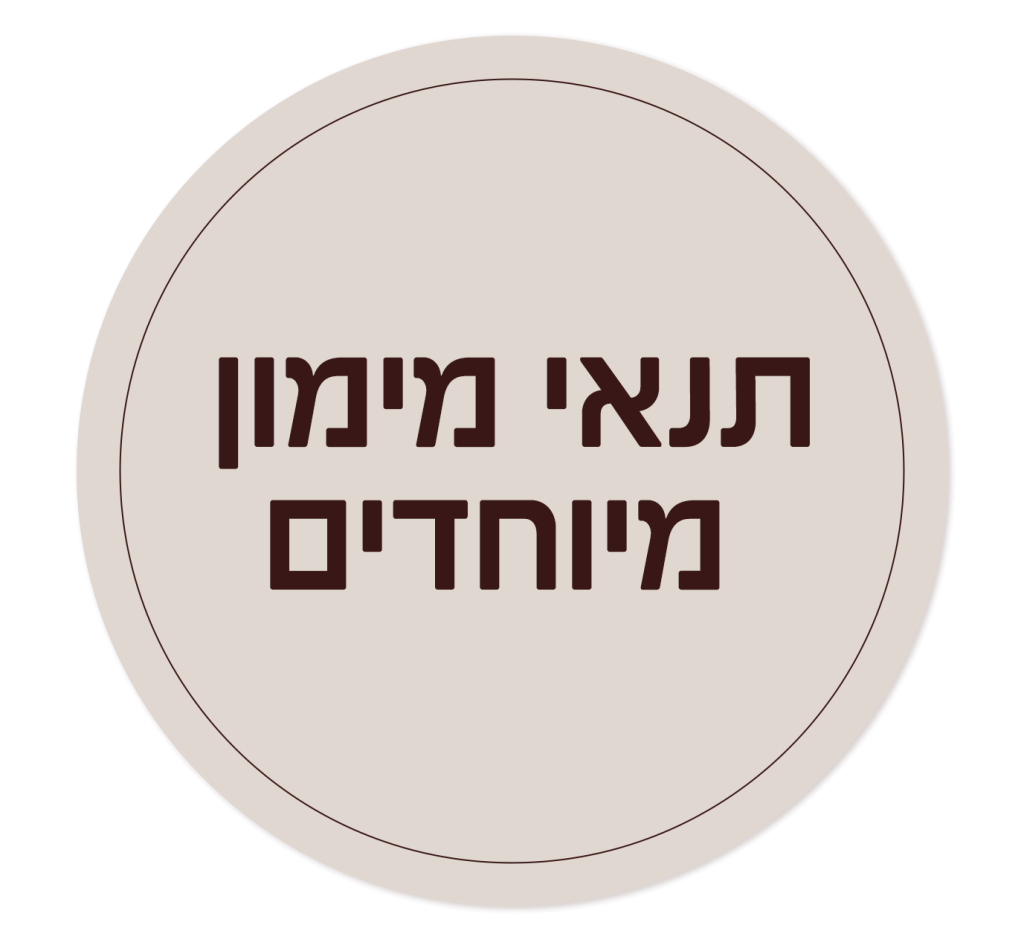 תנאי מימון מיוחדים